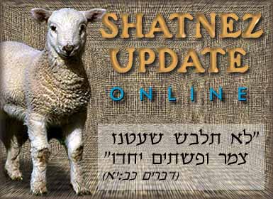 Shatnez Update - Online