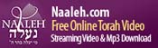 FREE Online Torah Video Classes