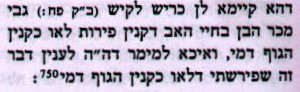 Tosfos R' Elchonon Avodah Zarah 21b