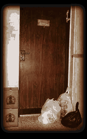 door.gif (18404 bytes)